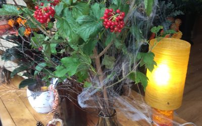 Floral Dance – Halloween Flowers and Displays