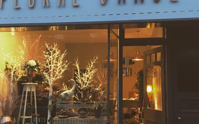 Christmas has arrived at Floral Dance